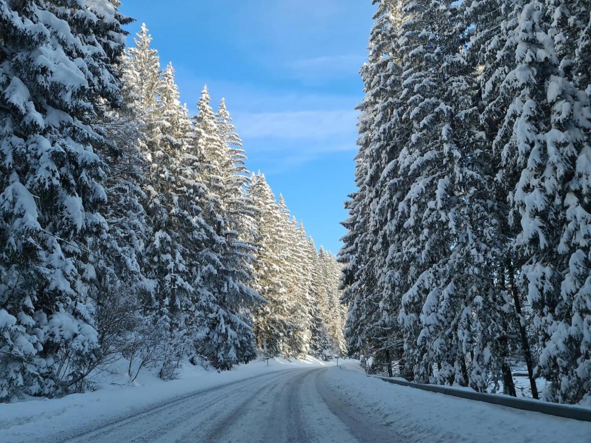 Chalet-Beskydy Prostřední Bečva Eksteriør billede